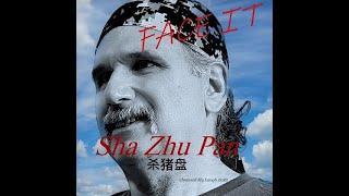 Sha Zhu Pan 杀猪盘 Guitars+