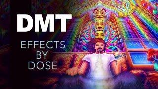 DMT Effects by Dose  The Spirit Molecule