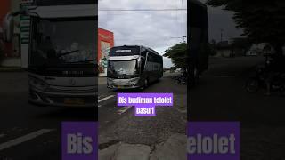 telolet basuri bis budiman #bismania #jetbus #euro03 #legacy #adiputro