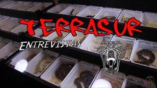 TerraSur IX 2018 Entrevistas Cruces de Mutantes de Python regius Pitón Bola Pitón Real