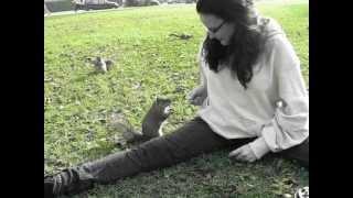 Deb & squirrels