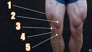 Exercises for Knee Pain 5 Things You Must Do