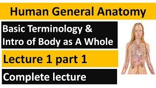 Human General Anatomy Anatomy Basic Terminology  In UrduHindi  lecture 01 part 01  BSN Lectures