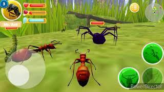 Semut Semut Kecil Mencari Makanan Melawan Laba-laba Hitam Besar - Ant Survival Simulator