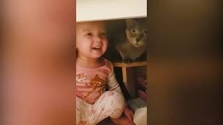 Funniest Cats and baby -Dont try to stop laughing -Pet lover