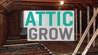 Growing in an Attic  Loft Space