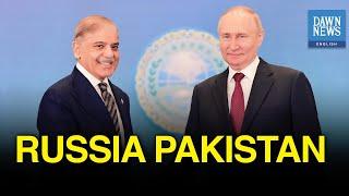 PM Shehbaz Meets Russian President Putin at SCO Summit   DAWN News English
