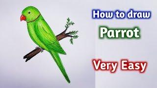 how to draw parrot easy step by stepGali Gali Art 