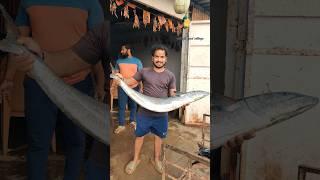 Biggest Seerfish Cutting In Indian Markets  Big king fish cutting