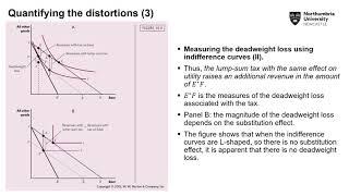 SM9628 - Lecture 16  - Taxation and economic efficiency