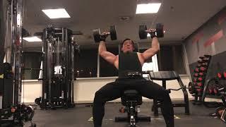 Dumbbell Shoulder Press 36kg 80lbs