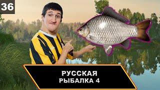 Комариное охота на трофей карася серебряного  Русская Рыбалка 4 {PC 2018} #36