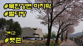 스타벅스 더북한강R점 _ 남양주 카페 추천 _ 펫 프렌들리 반려동물 _ Strabucks in Korea _ Riverside Han River 북한강 카페