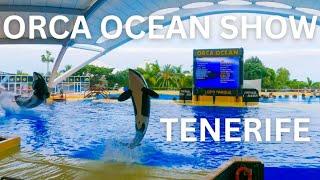 Full Spectacular Orca Ocean Show At Loro Parque 4K  Tenerife