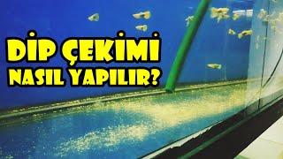 Dip Çekimi Nedir ve Nasıl Yapılır?