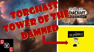 Torghast Tower of the Damned - For Dummies