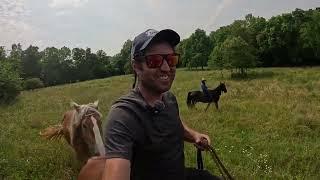 Getting the Horses from the Field at Titus - Riding Bareback June 2024