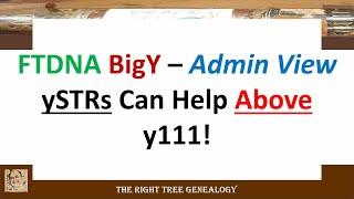 FTDNA BigY - Admin View - Project Level ySTRs Can Help Above y111