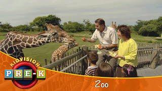 Zoo  Virtual Field Trip  KidVision Pre-K