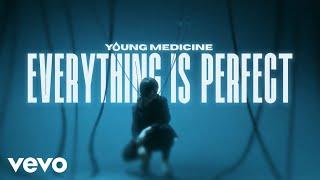 Young Medicine - Everything is Perfect Official Music Video