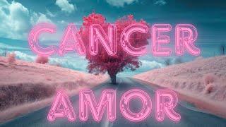 CANCER ️ AMOR 🩷 Vas a estar entre dos amores uno que vuelve y el otro que llega 🫣