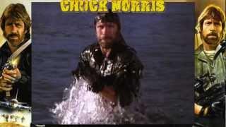 Chuck Norris - Im Not Going to Fight Tribute Video