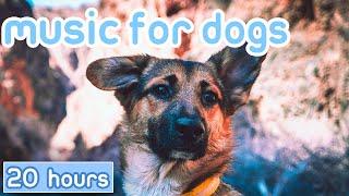 NO ADS Music for Dogs Relaxation Tones to Calm Anxiety & Stress