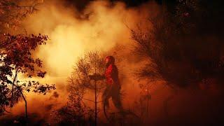 Portugal asks EU for assistance as wildfire reaches residential area