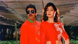 Chiranjeevi Sridevi Evergreen Superhit Video Song  Ammani Tiyyani Debba Telugu Song