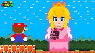 Mario vs the GIANT Lego Peach MAZE  Game Animation