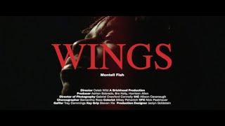 Montell Fish - WINGS Official Video