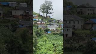 Very Peaceful and Relaxing Village Environment #Short #Village #rain