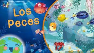 Los Peces para Niños Videos Educativos para Niños