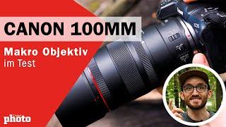  Canon 100mm Makro Objektiv im TEST Endlich ein Makro Objektiv für EOS R   DigitalPHOTO Magazin