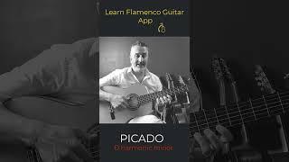 Harmonic Minor Pattern- Learn Flamenco Guitar