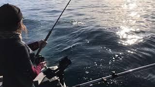 Winter Chinook Fishing With No Bananas Fishing Charters