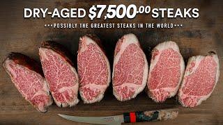 I tried to Dry-Age $7500 Steaks and this happened