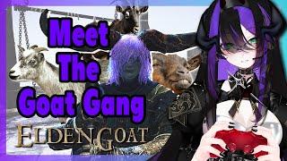 Meet The Goat Gang from Elden Goat
