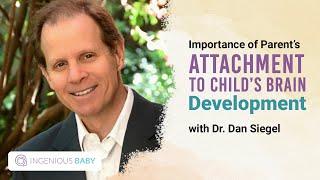 Why Attachment Parenting Matters  Daniel J. Siegel M.D.  Ingenious Baby