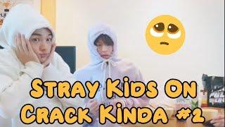 Stray Kids On Crack Kinda #2