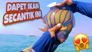 Begini Cara Paling Evfektif saat Ikan Lagi Rame-Ramenya