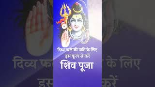 शिव जी पर चढ़ा दें ये फूल मिलेगा दिव्य फल #शिवजीकेप्रियफूल #facts #astrology #acharyakashyap #savan