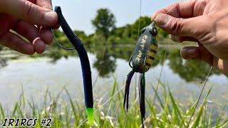 FISHING EXPERIMENT Senko vs. the FrogBest EARLY SUMMER Pond Bass Fishing Lure
