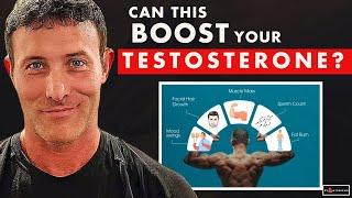  Can the Carnivore Diet Increase TESTOSTERONE? 