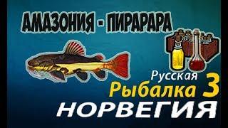 РУССКАЯ РЫБАЛКА 3.99 ЛОВИМ ПИРАРАРУ ПОД СУПЕРУДАЧУ Х20