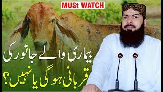 Bimari Waly Janwar Ki Qurbani Hogi Ya Nahi  ?  Mufti Abdul Wahid Qureshi  Must Watch