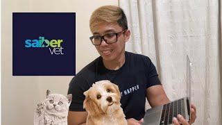 Virtual Assistant at SaiberVet my experience #virtualassistant #workfromhome #remotejob