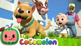 Bingo Farm Version  CoComelon Nursery Rhymes & Kids Songs