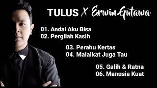 cover lagu tulus ft erwin gutawa