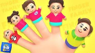 Baby Finger Where Are You?  Finger Family Song  @LolliTunesTv Nursery Rhymes & Kids Songs  NEW 